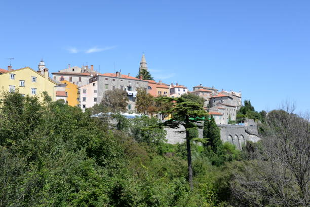 istock Old town in Labin, Croatia 880449592
