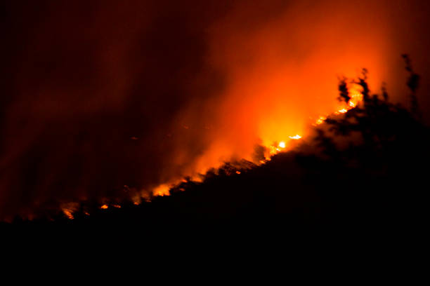 istock Forest fires by night in Montenegro 880454666