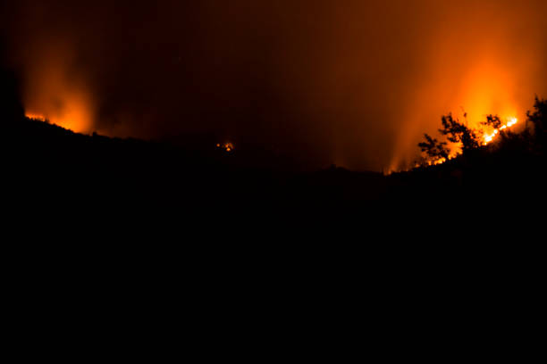 istock Forest fires by night in Montenegro 880454708