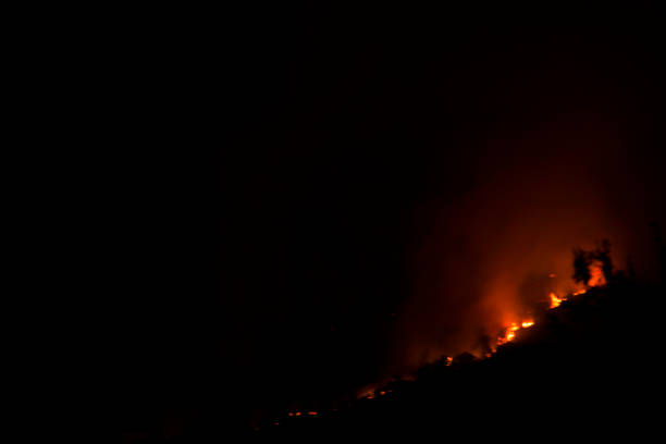 istock Forest fires by night in Montenegro 880454906