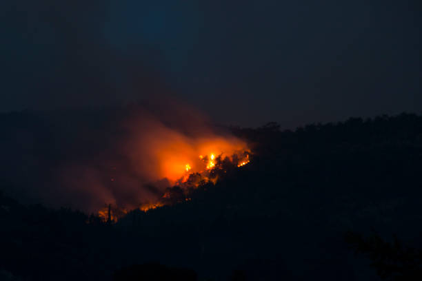 istock Forest fires by night in Montenegro 880455056