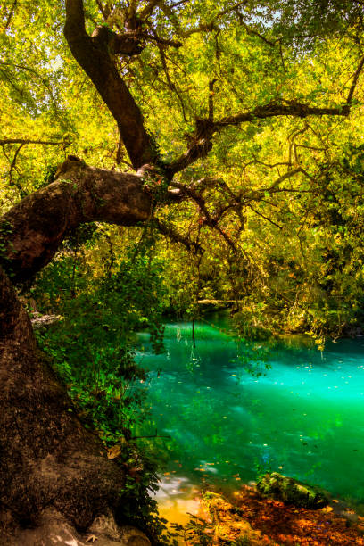 istock Kursunlu Waterfalls Turkey 880455292