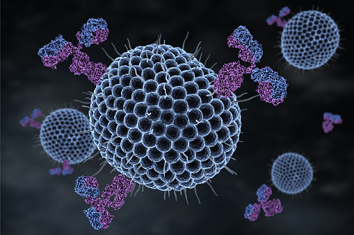 Anticuerpos y virus herpes photo