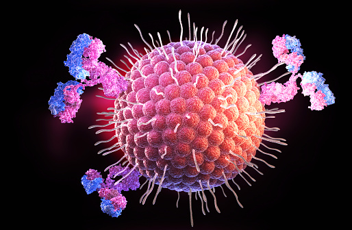 Anticuerpos y virus del herpes photo