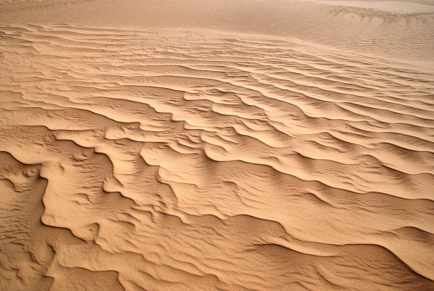 patrón de onda hermoso en la arena del desierto - gobi desert fotografías e imágenes de stock