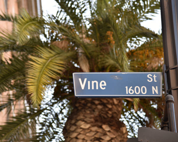 Hollywood & Vine Street Sign