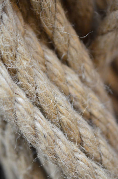 istock A rope close-up with visible villi. 880476462