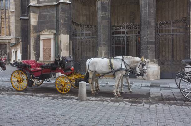 istock Vienna City, Austria 880476924