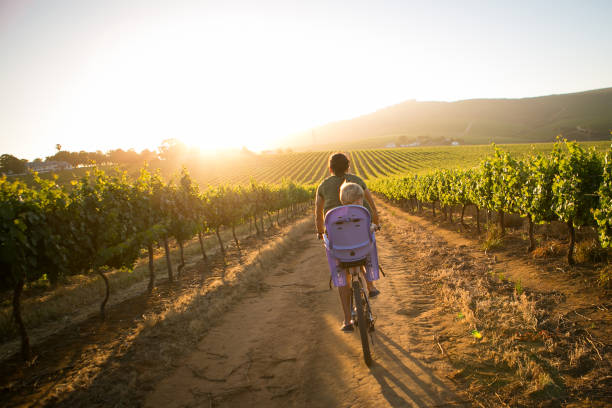 Mother riding with her son A mother rides in the late afternoon along a gravel road in the vineyards with her son on a seat stellenbosch stock pictures, royalty-free photos & images