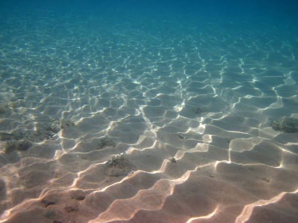 istock sunlight illuminated the bottom of the sea 880477110