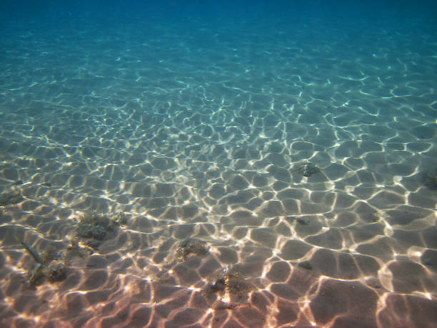 istock sunlight illuminated the bottom of the sea 880477170