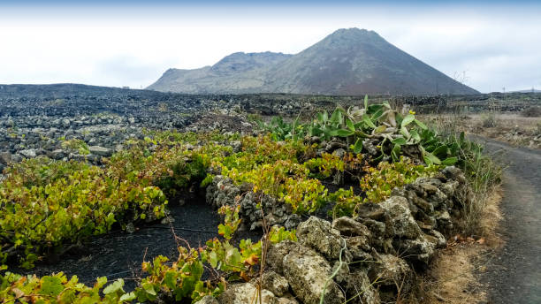 volcan de la corona et la vallée du raisin - lanzarote, îles canaries, espagne - lanzarote canary islands volcano green photos et images de collection