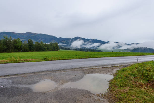 istock empty asphalt road in the countryside in summer 880495170