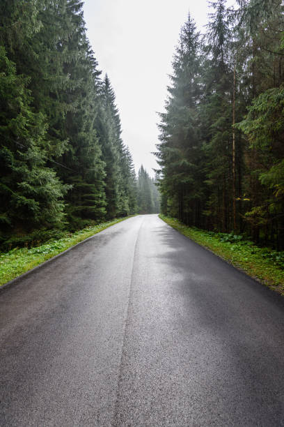 istock empty asphalt road in the countryside in summer 880495172