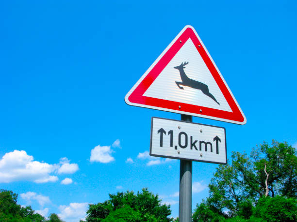 istock Road sign Wild animals 880500236
