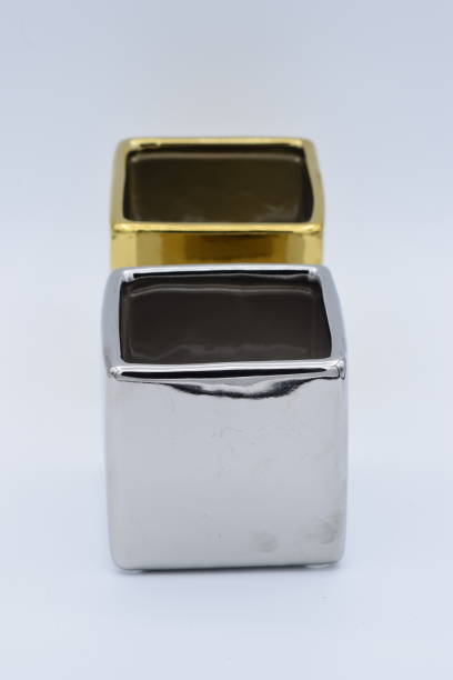 istock Silver and Gold Plant Potters 880505148