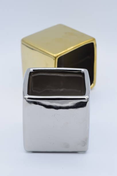 istock Silver and Gold Plant Potters 880505216