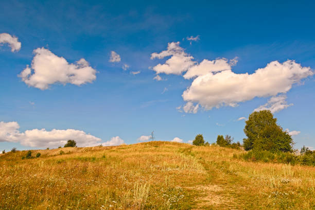 istock Rural summer landscapes 880505254