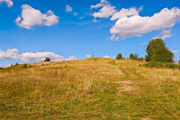 istock Rural summer landscapes 880505298