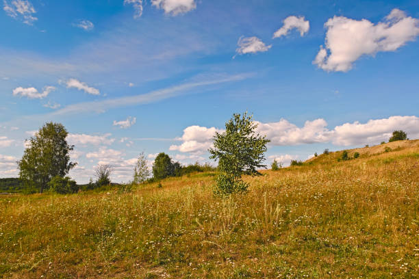 istock Rural summer landscapes 880505324