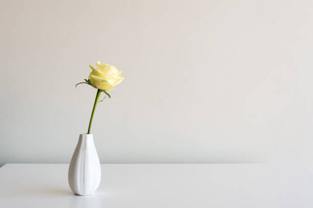 Photo of Pale yellow rose in white vase