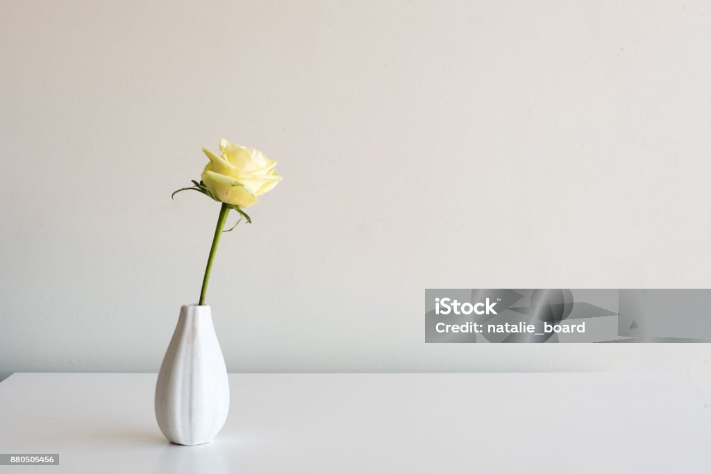 Pale yellow rose in white vase Single pale yellow rose in small white vase on table against neutral wall background with copy space Vase Stock Photo