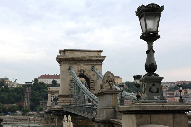 цепной мост - chain bridge budapest bridge lion стоковые фото и изображения