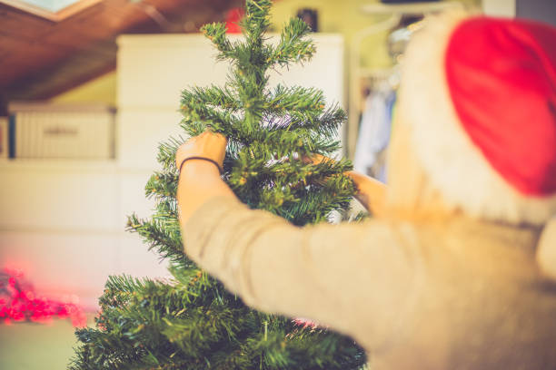 istock Regional Christmas at home 880508724