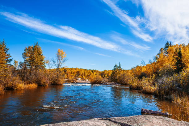 istock Tranquil scenery in the autumn park 880541428