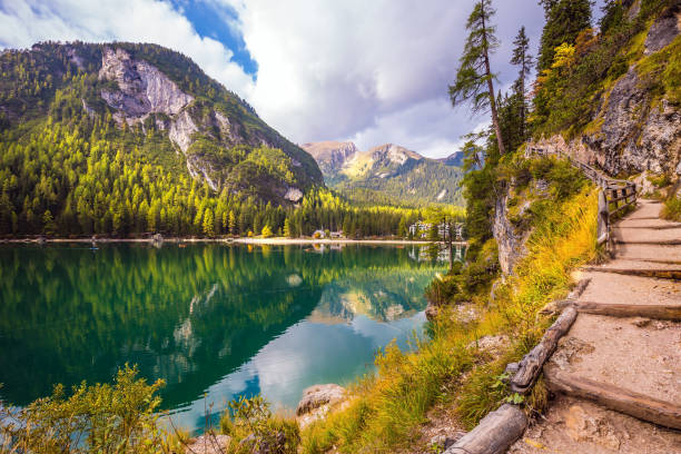 istock Walking trail around the lake 880541448