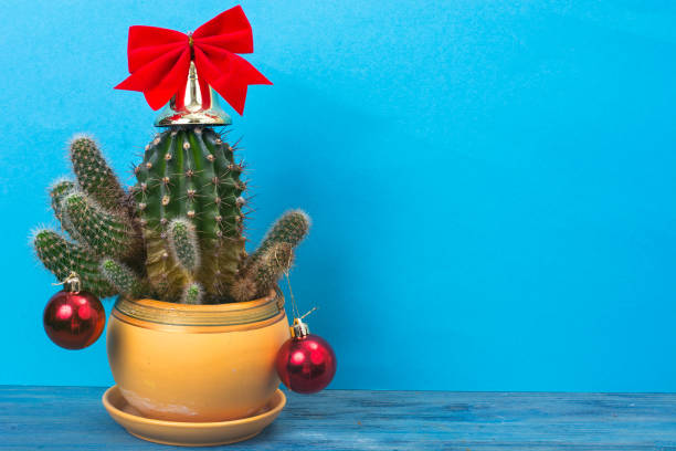 istock Christmas in tropical climate concept. Cactus as festive tree on bright pastel background with space for text 880556906