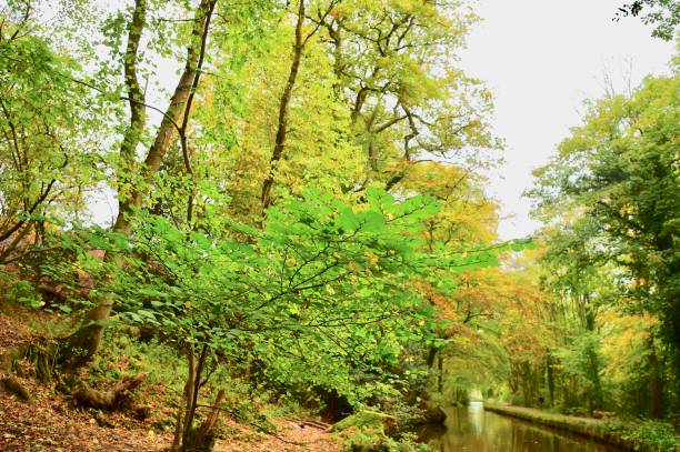 istock Narrow-boating on a UK canal 880557114