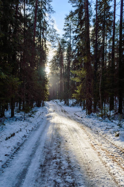 istock country road in winter 880562678