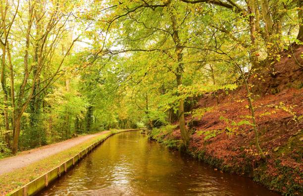 istock Narrow-boating on a UK canal 880564928