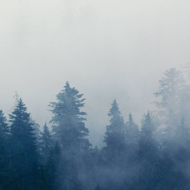 istock Foggy morning landscape 880565274