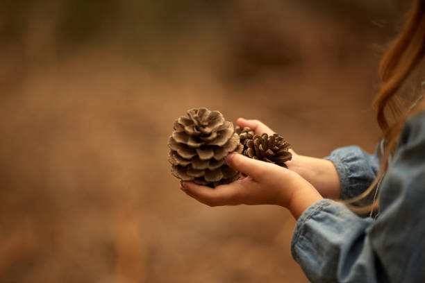 istock autumn walk in the field and in the forest 880565632
