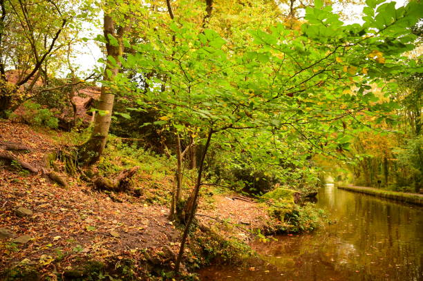 istock Narrow-boating on a UK canal 880568170
