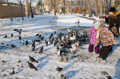 Children in the Park feeding the birds in winter