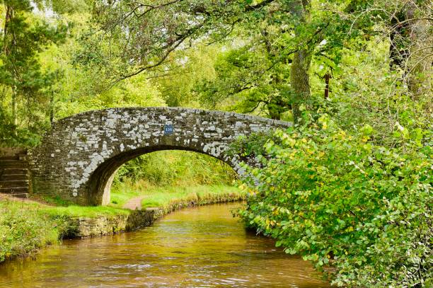 istock Narrow-boating on a UK canal 880570764