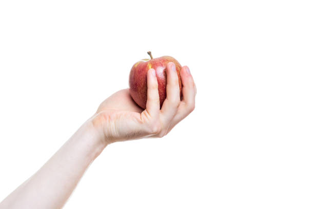 istock Holding an apple in the hand from below isolated on white background 880596532