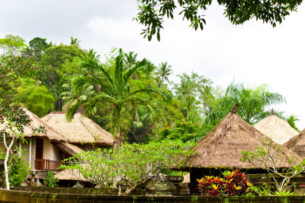 istock Beautiful Asian Garden 880598772