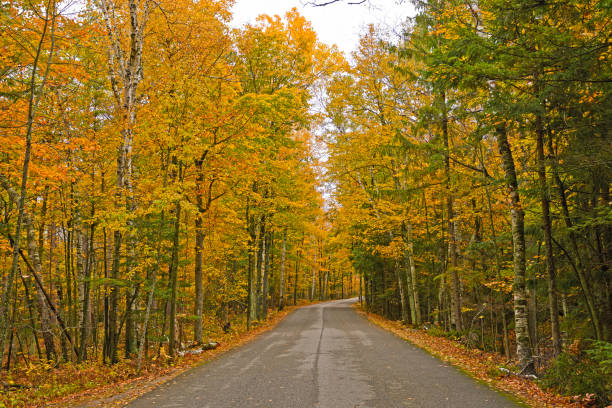 istock Colorful Rural Road in the Fall 880598856