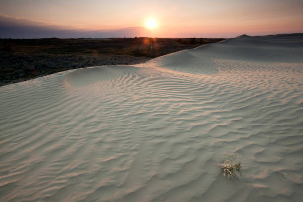 istock Sand Dunes Of Great Sandhills Saskatchewan Canada 880610468