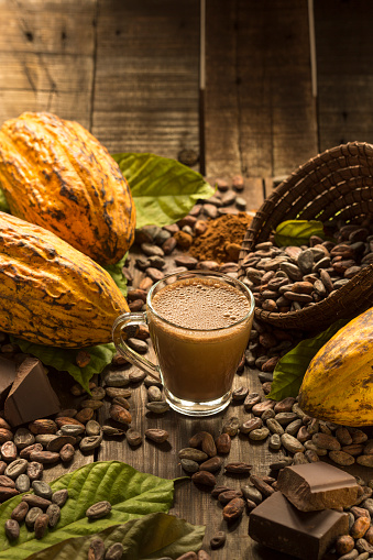 Composition of real cocoa organic fruits with cocoa tree leaves, cocoa nibs, hot chocolate cup and dark chocolate bar chunks on wooden table. This photography represents the different states of cocoa. Vertical composition. Studio shot. No people. High angle view.