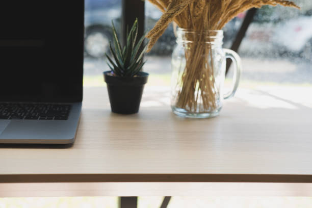 istock computer, plant pot on wood desk. laptop at office workplace. 880620210