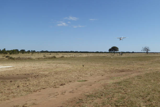 istock Hwange National Park - Zimbabwe, Part 2 880633114
