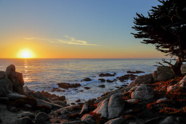 tramonto a 17 miglia di auto, pebble beach, california - pebble beach california foto e immagini stock