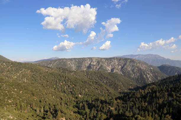 istock San Bernarnino National Forest 880635376