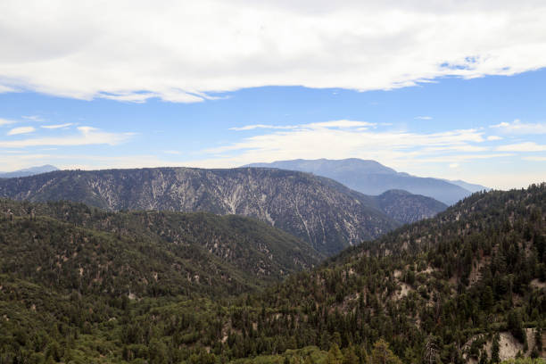 istock San Bernarnino National Forest 880635398