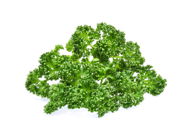 istock Parsley isolated on white background 880654156
